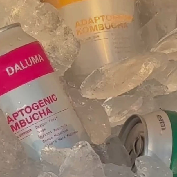 Drei Dosen des Daluma RAW KOMBUCHA DISCOVERY SET liegen in Eis eingebettet. Die vordere Dose ist mit einem rosafarbenen Etikett versehen, während die beiden anderen Dosen mit gelben und grünen Etiketten teilweise im Hintergrund zu sehen sind.